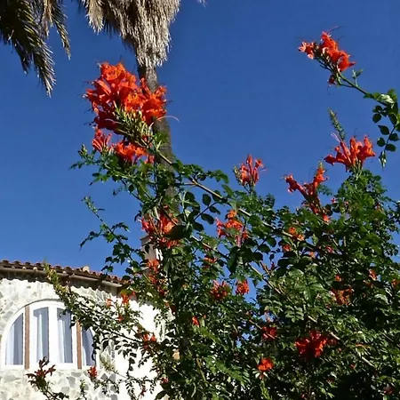 Benavero Boutique Style Within Fenced Tropical Garden Villa Calpe